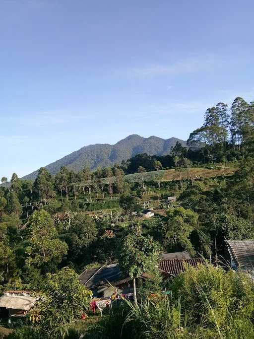 Warung Kopi Ibu Yeni 8