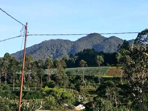 Warung Kopi Ibu Yeni 2