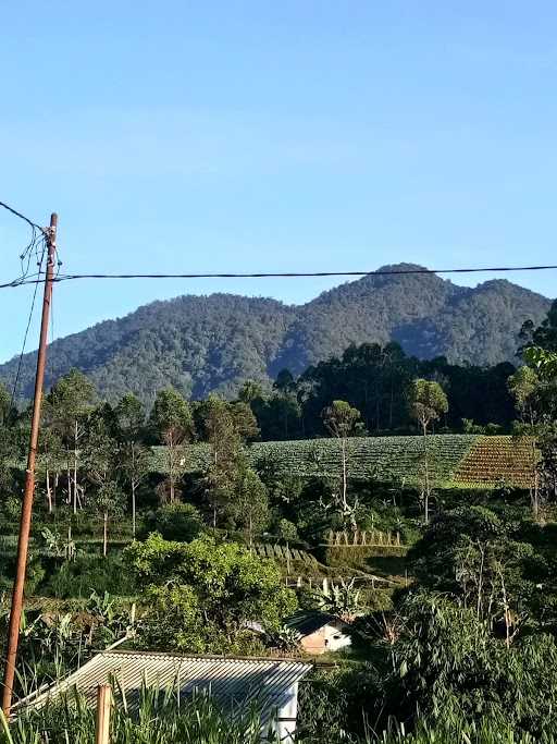 Warung Kopi Ibu Yeni 6