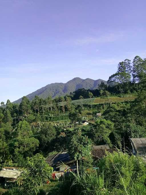 Warung Kopi Ibu Yeni 9