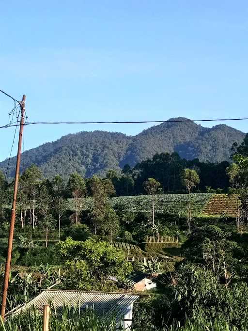 Warung Kopi Ibu Yeni 10