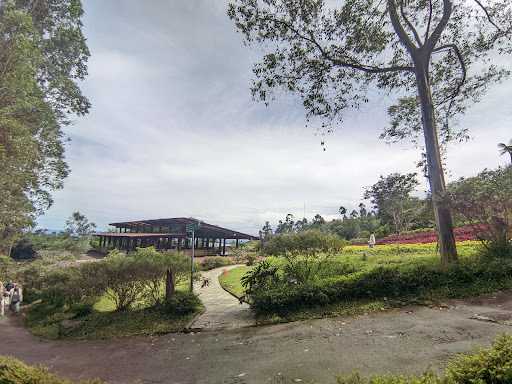 Dusun Bambu 10