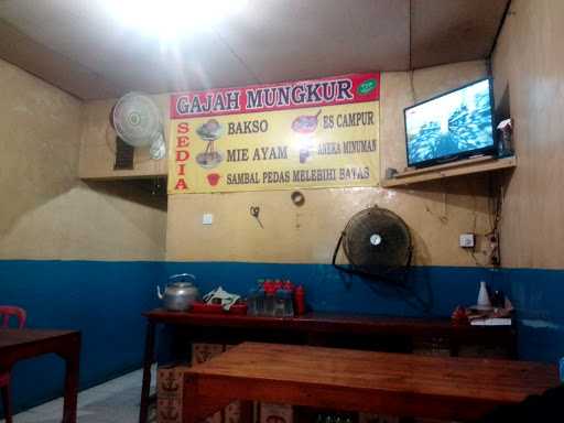 Bakso Gajah Mungkur 10