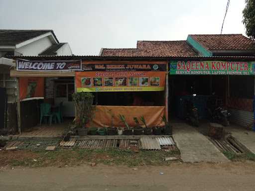 Bebek Juwara 10