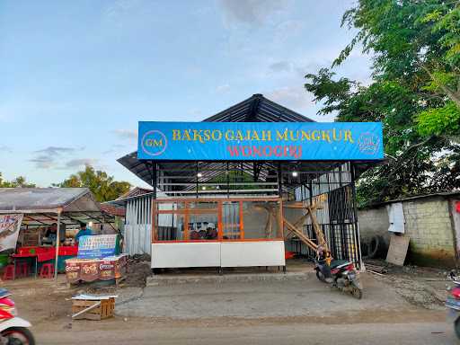 Bakso Gajah Mungkur Gm Ciseeng 8