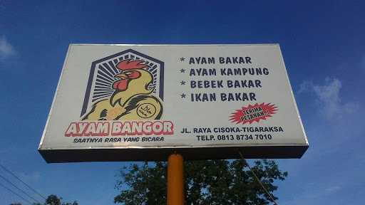 Ayam Bangor 1