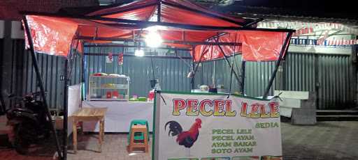 Pecel Ayam/Lele Aghni 08 3