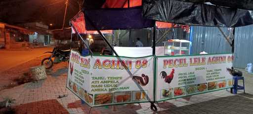 Pecel Ayam/Lele Aghni 08 1