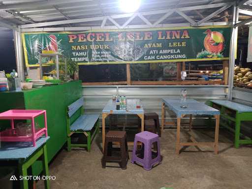 Pecel Lele Lina 01/Lesehan Lina 4