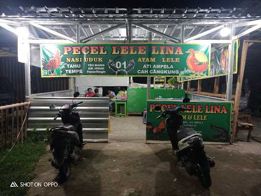 Pecel Lele Lina 01/Lesehan Lina 3