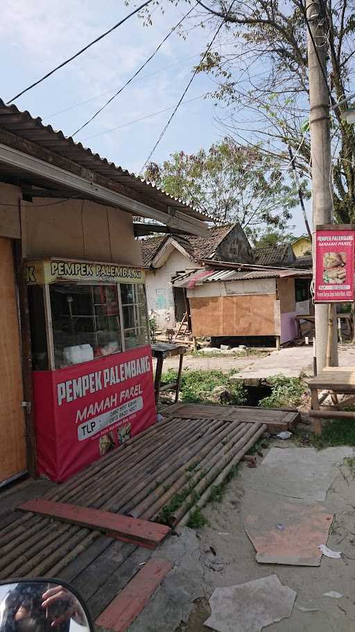 Pempek Palembang Mama Farel 1