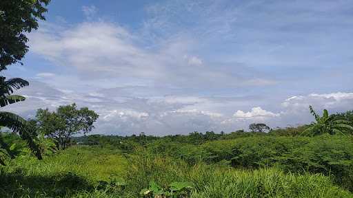 Warung Sosis Iki Tea 7