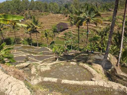 Warung Kopi Jujur 2