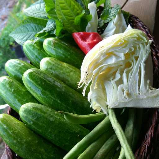 Ayam Bakar Djayanti 10