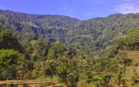 Warung Abah Encim 1