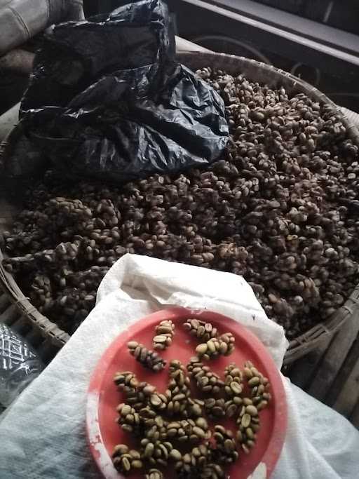 Resto Dan Kopi Luwak 10