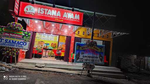 Istana Ayam Ngablak Cluwak 4