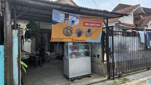 Pempek Palembang Ibu Herlina 7