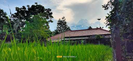 Saung Koyan 10