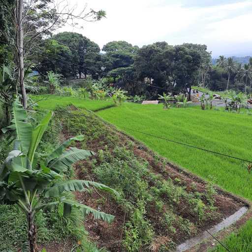 Warkop Pinggir Warung 9