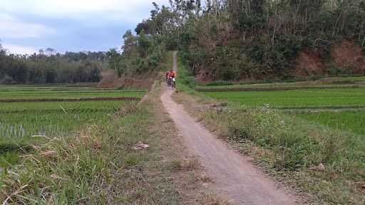 Ceneng Bok Darmi 4