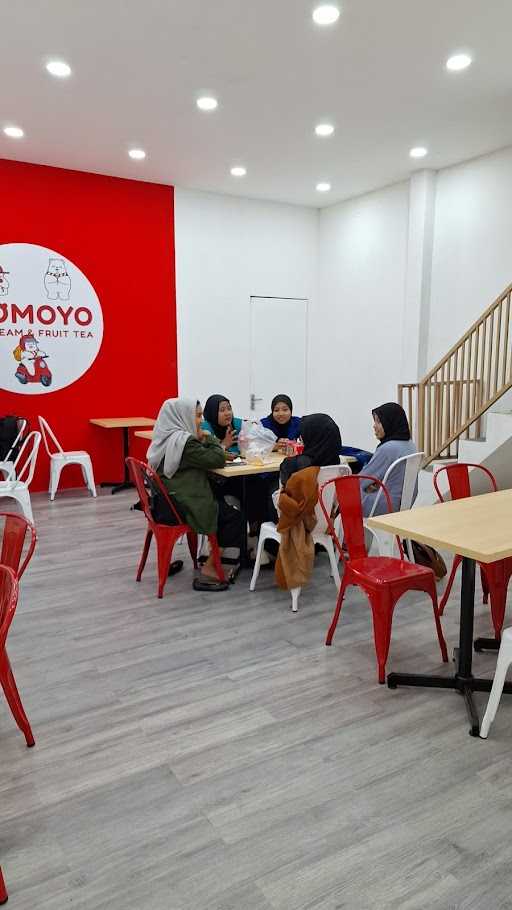 Momoyo Dampit 10