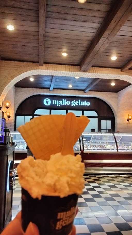 Malio Gelato 5