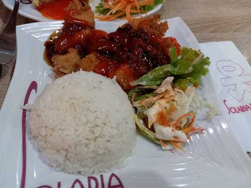 Solaria 7