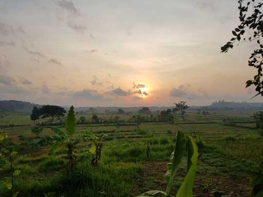 Warung Makan Mba Sar 4