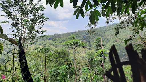 Warung Kopi Carang Soko Langit 8