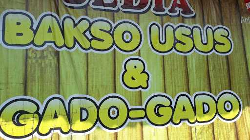 Bakso Usus Special 9