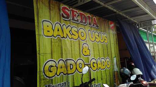 Bakso Usus Special 5