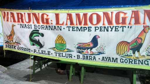 Warung Lamongan Nasi Bebek 3