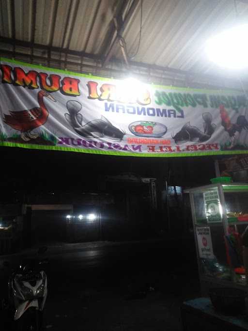 Ayam Penyet Sari Bumi Lamongan 5