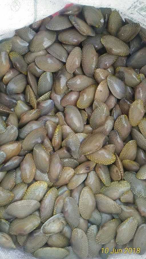 Kedai Nifan Kerang 7