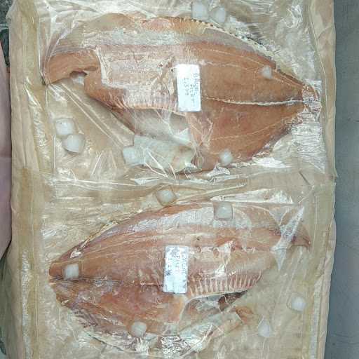 Toko Ikan Beku Segar Murah Fayiz 5