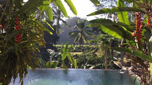 Rumah Makan Padang Andalas 1