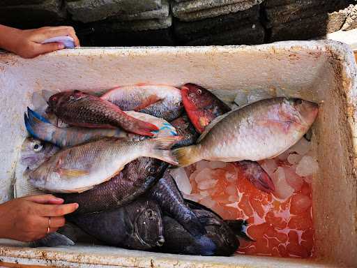 Warung Ikan Bakar Darma 8