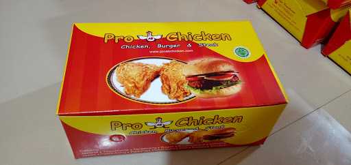 ꦥꦄꦧꦕꦲꦕꦏꦤꦢꦭꦔ Pro Ab Chicken Dlingo 9