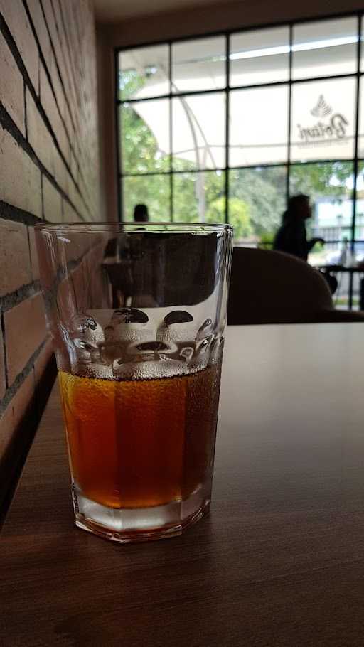 Botani Kopi Nusantara 2