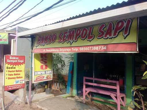 Bakso Sempol Sapi Adinul 8