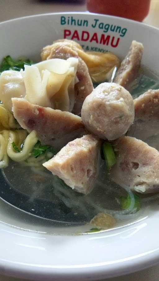 Mie Ayam Dan Bakso Raksasa Cah Solo 9