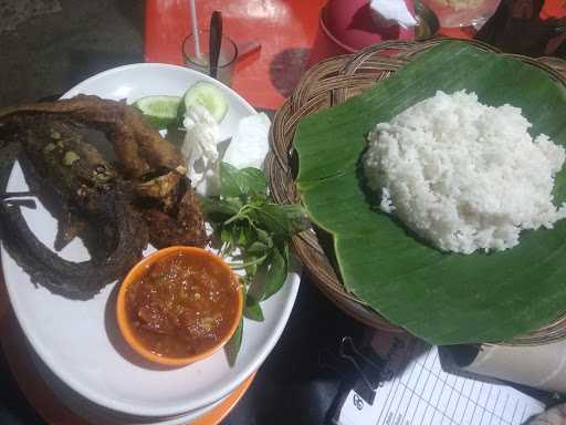 Pecel Lele Bejo 2 7