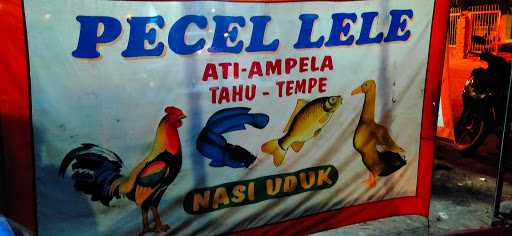 Pecel Lele Elsha 1