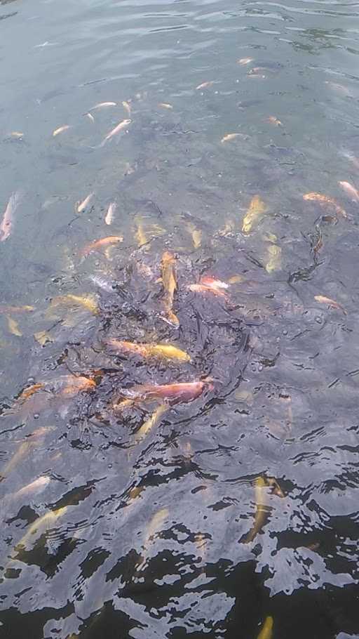 Ikan Bakar H. Arjum 7