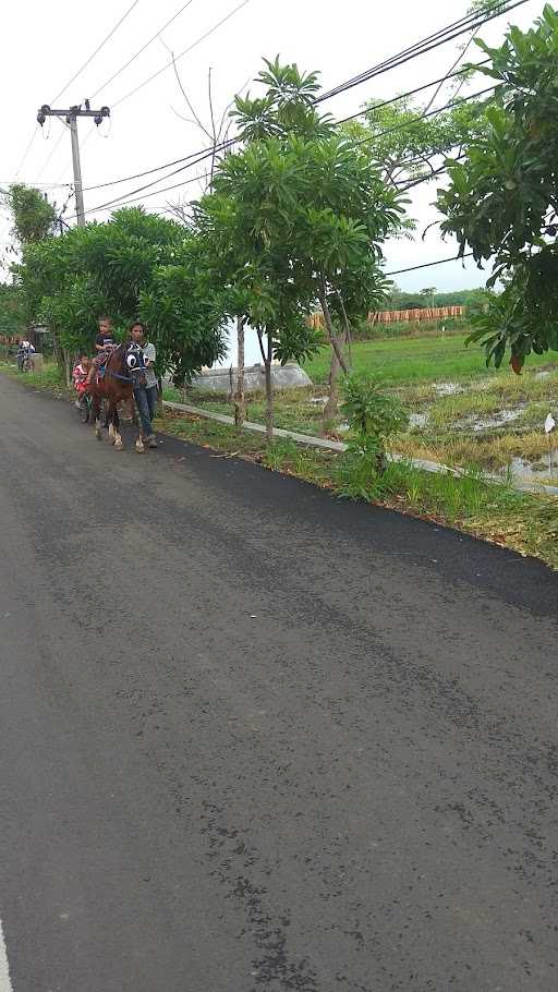 Warung Ijo Pak Yunani 5