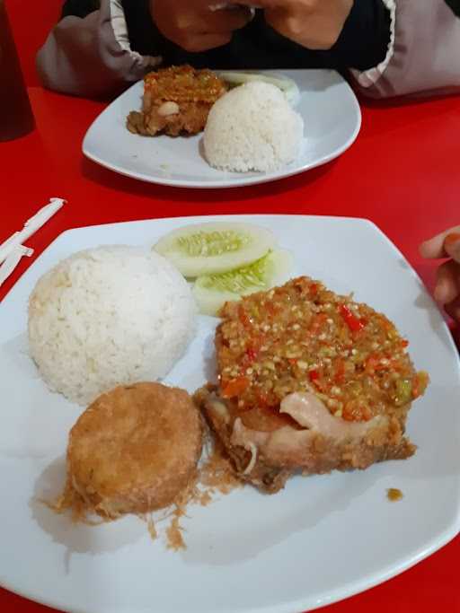 Rocket Chicken Gambut 1 ( Pemajatan ) 5