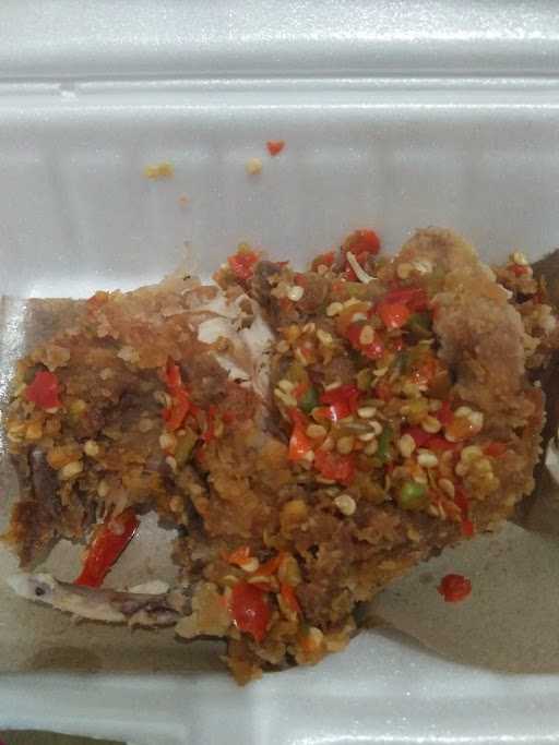 Rocket Chicken Gambut 1 ( Pemajatan ) 4