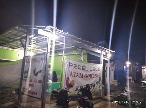 Pecel Lele Kremes 5