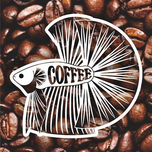 Betta Coffee 3